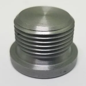 Threaded Blind Plug