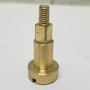 Custom Brass Bolt